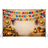 Painel Fotográfico em Tecido Festa Junina São João /1551